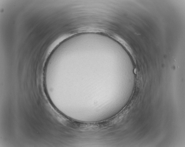 X0000081571187200701291207