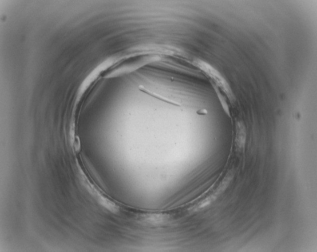 X0000081571188200701291207