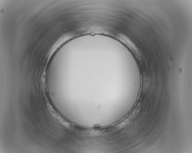 X0000081571190200701291207