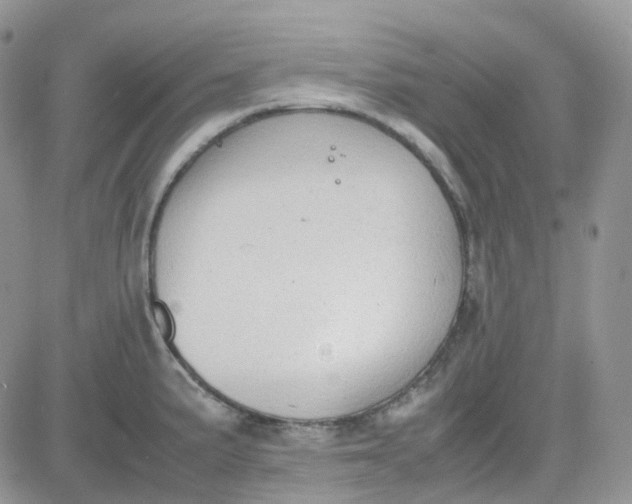 X0000081571191200701291207