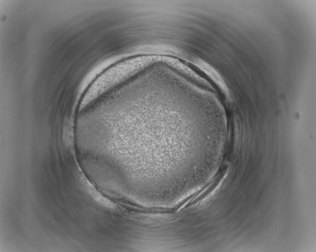 X0000081571192200701291207