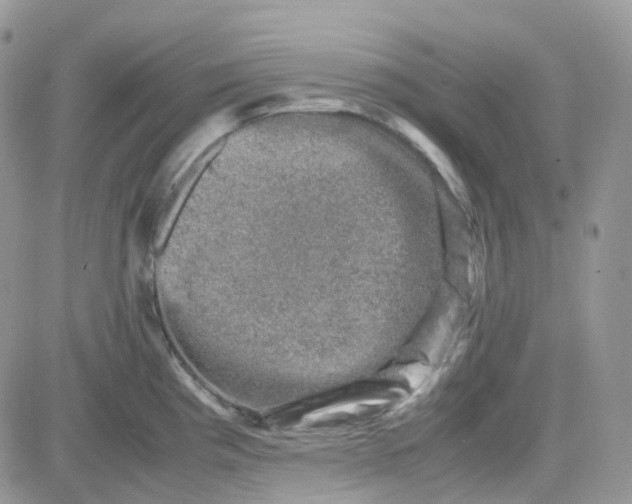 X0000081571193200701291207