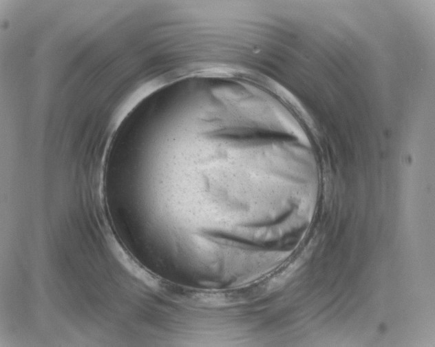 X0000081571194200701291207