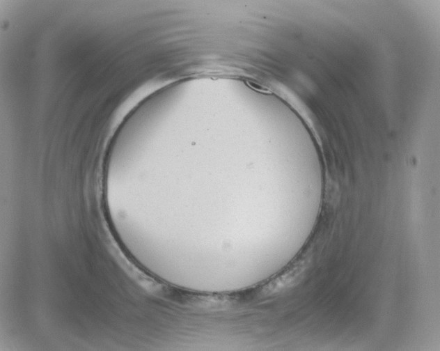 X0000081571195200701291207