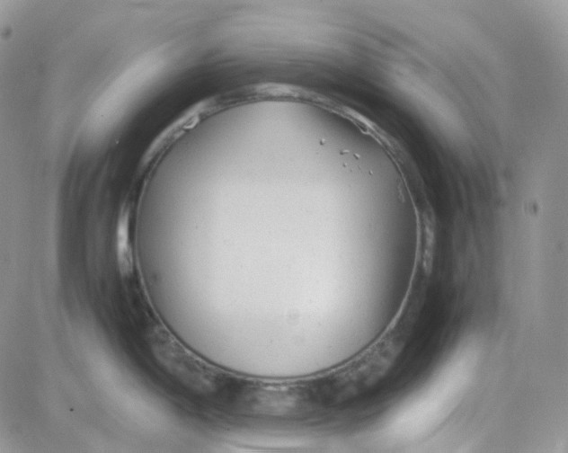 X0000081571198200701291207