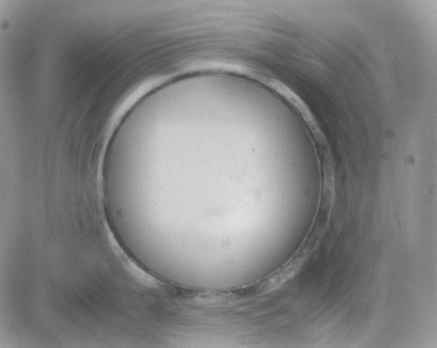 X0000081571199200701291207