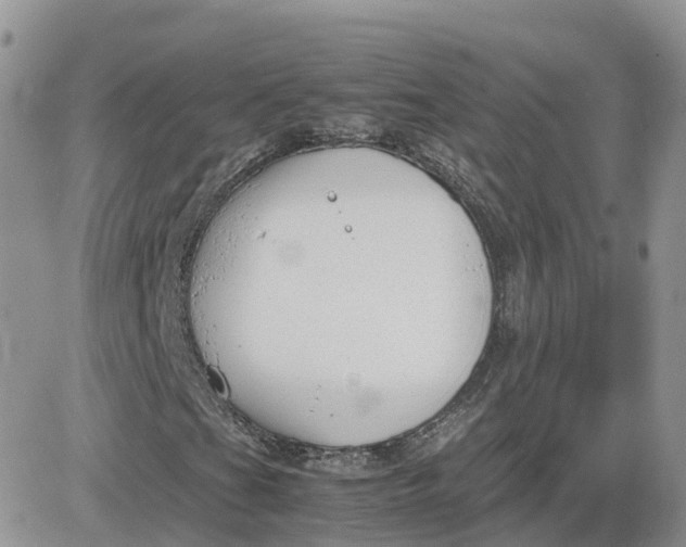 X0000081571201200701291206