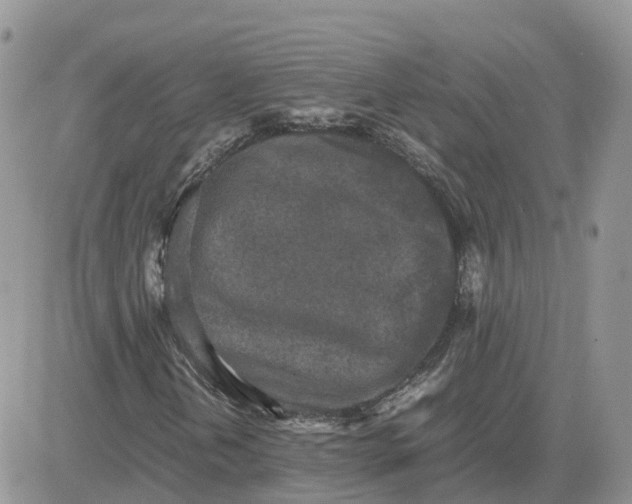 X0000081571202200701291206