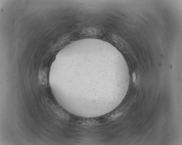 X0000081571203200701291206