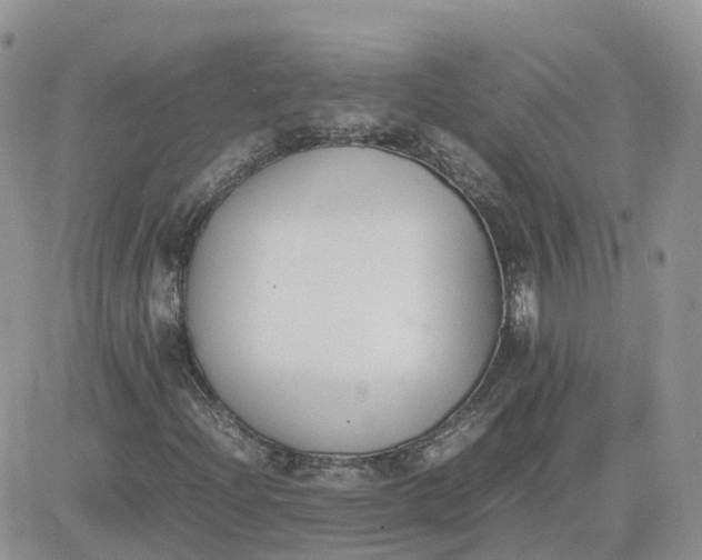 X0000081571204200701291206