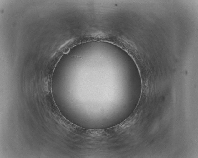 X0000081571205200701291206