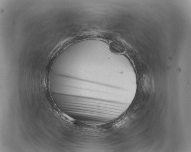 X0000081571206200701291206