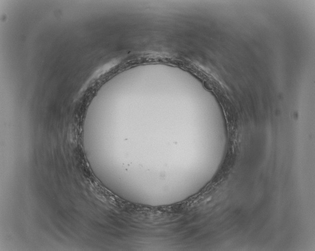 X0000081571207200701291206