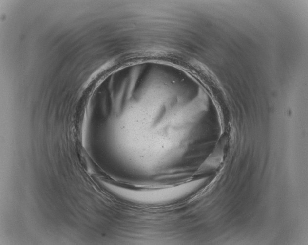 X0000081571210200701291206