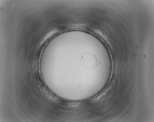 X0000081571211200701291206