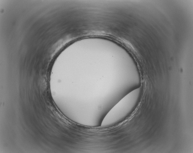 X0000081571212200701291206