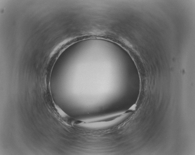 X0000081571214200701291206