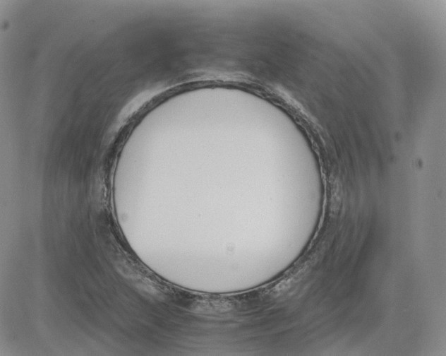 X0000081571215200701291206