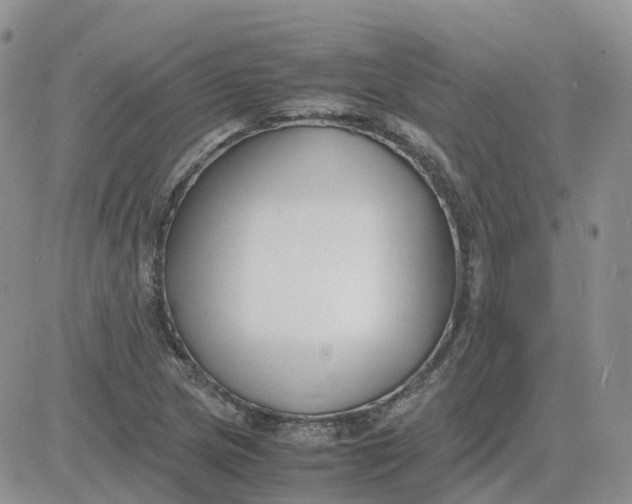 X0000081571217200701291206