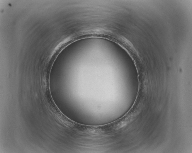 X0000081571218200701291206