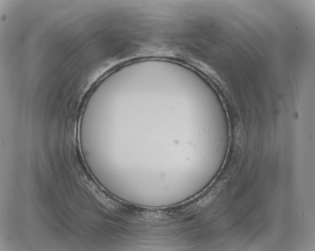 X0000081571220200701291206