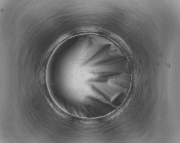 X0000081571225200701291206