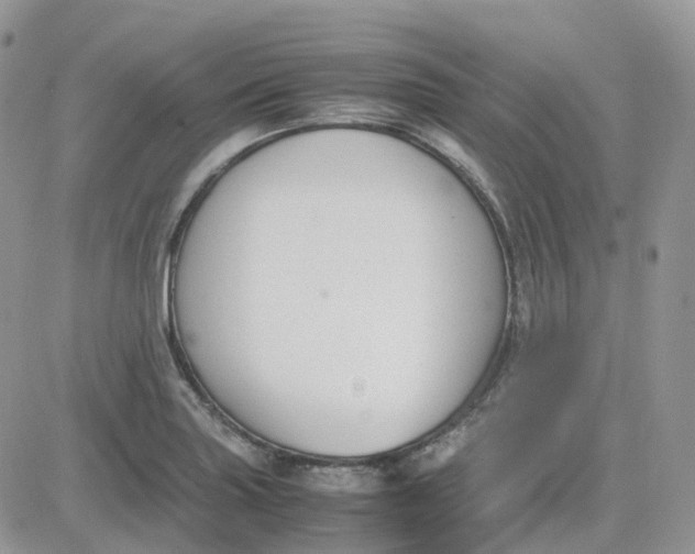 X0000081571227200701291206