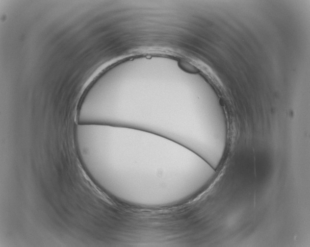 X0000081571228200701291207