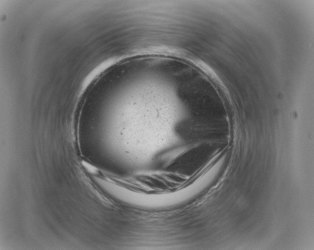 X0000081571230200701291207