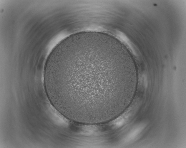 X0000081571232200701291207