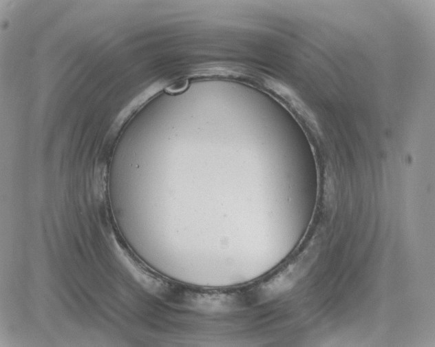 X0000081571233200701291207