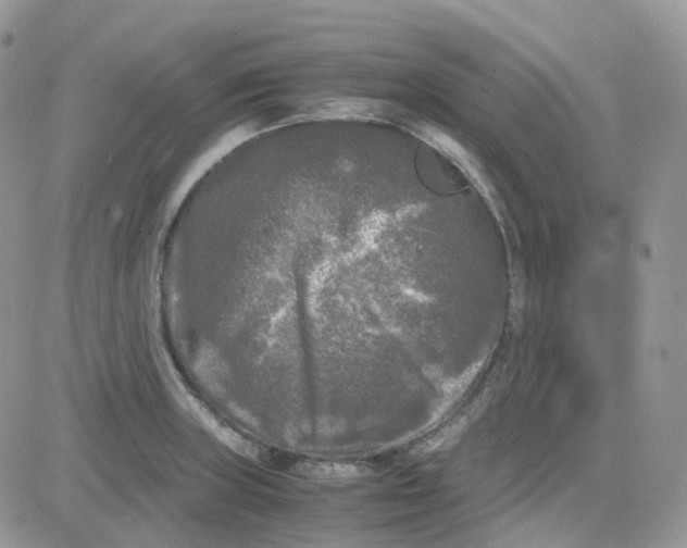 X0000081571235200701291207