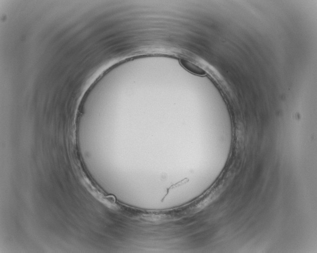 X0000081571236200701291207