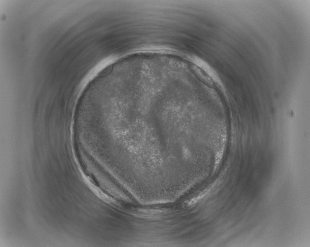 X0000081571237200701291207