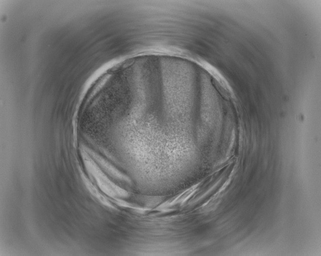 X0000081571238200701291207