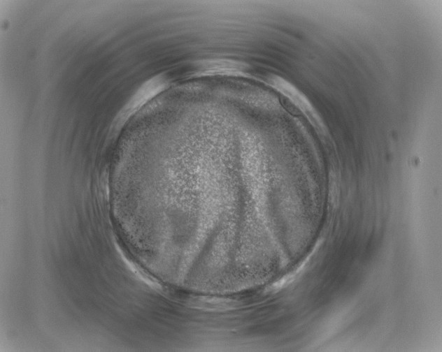 X0000081571241200701291207