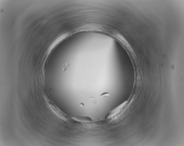 X0000081571242200701291207