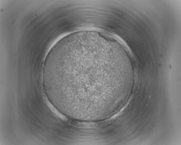 X0000081571244200701291207