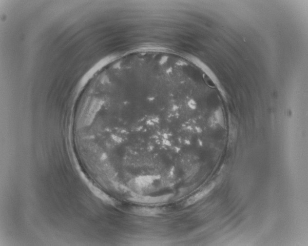 X0000081571245200701291207