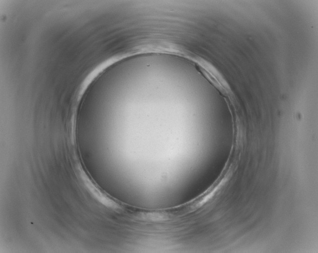 X0000081571246200701291207