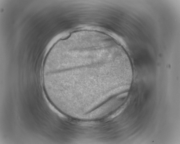 X0000081571247200701291207