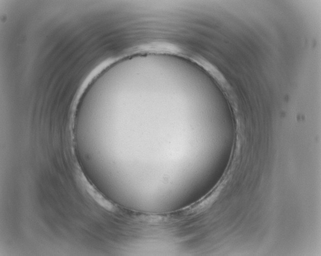 X0000081571248200701291207