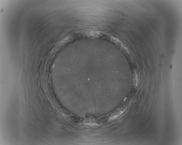 X0000081571249200701291206