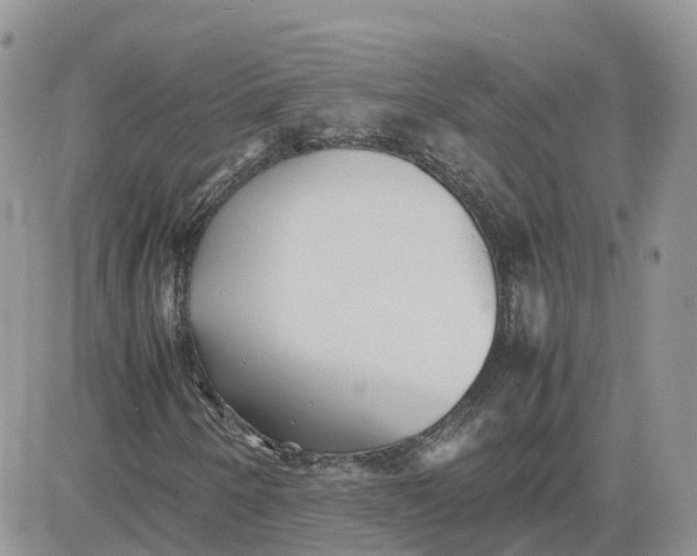 X0000081571250200701291206