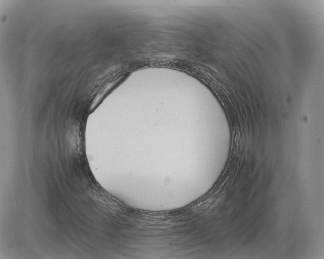 X0000081571252200701291206