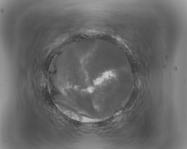 X0000081571253200701291206