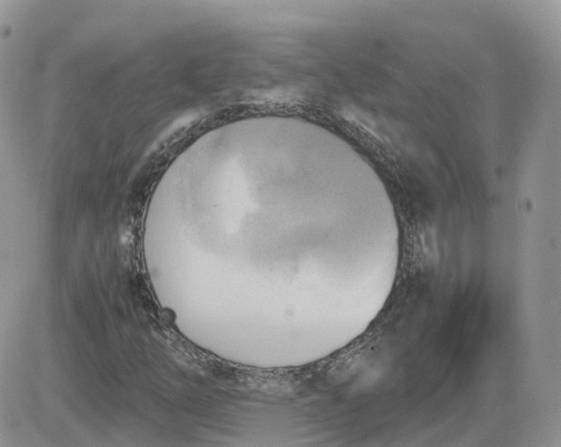 X0000081571254200701291206