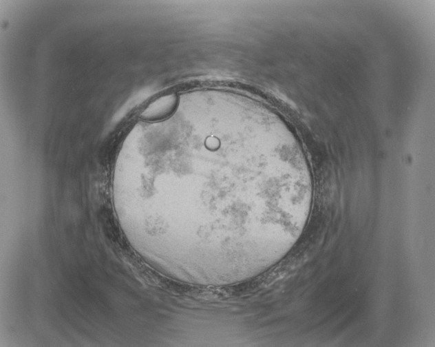 X0000081571255200701291206