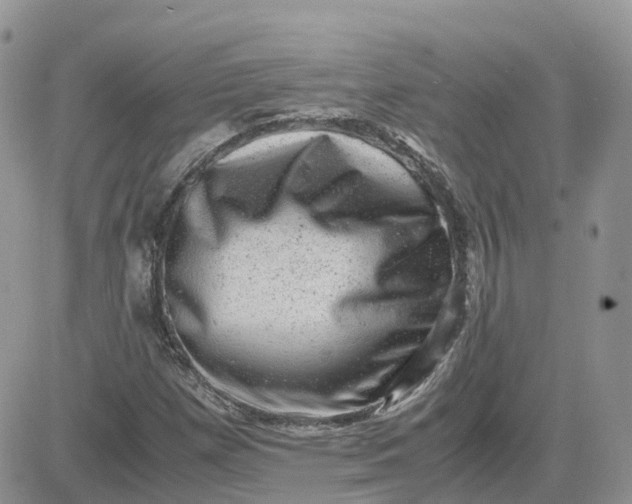 X0000081571257200701291206