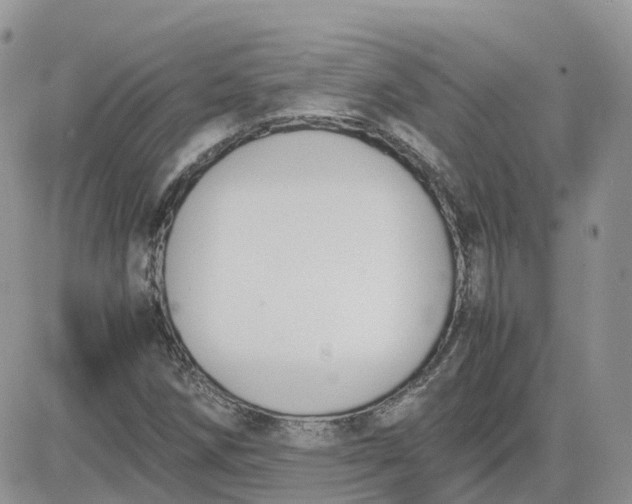 X0000081571258200701291206